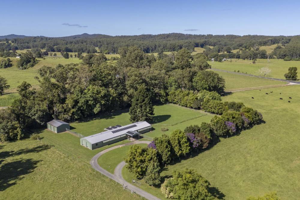1596 Waterfall Way, BELLINGEN, NSW 2454