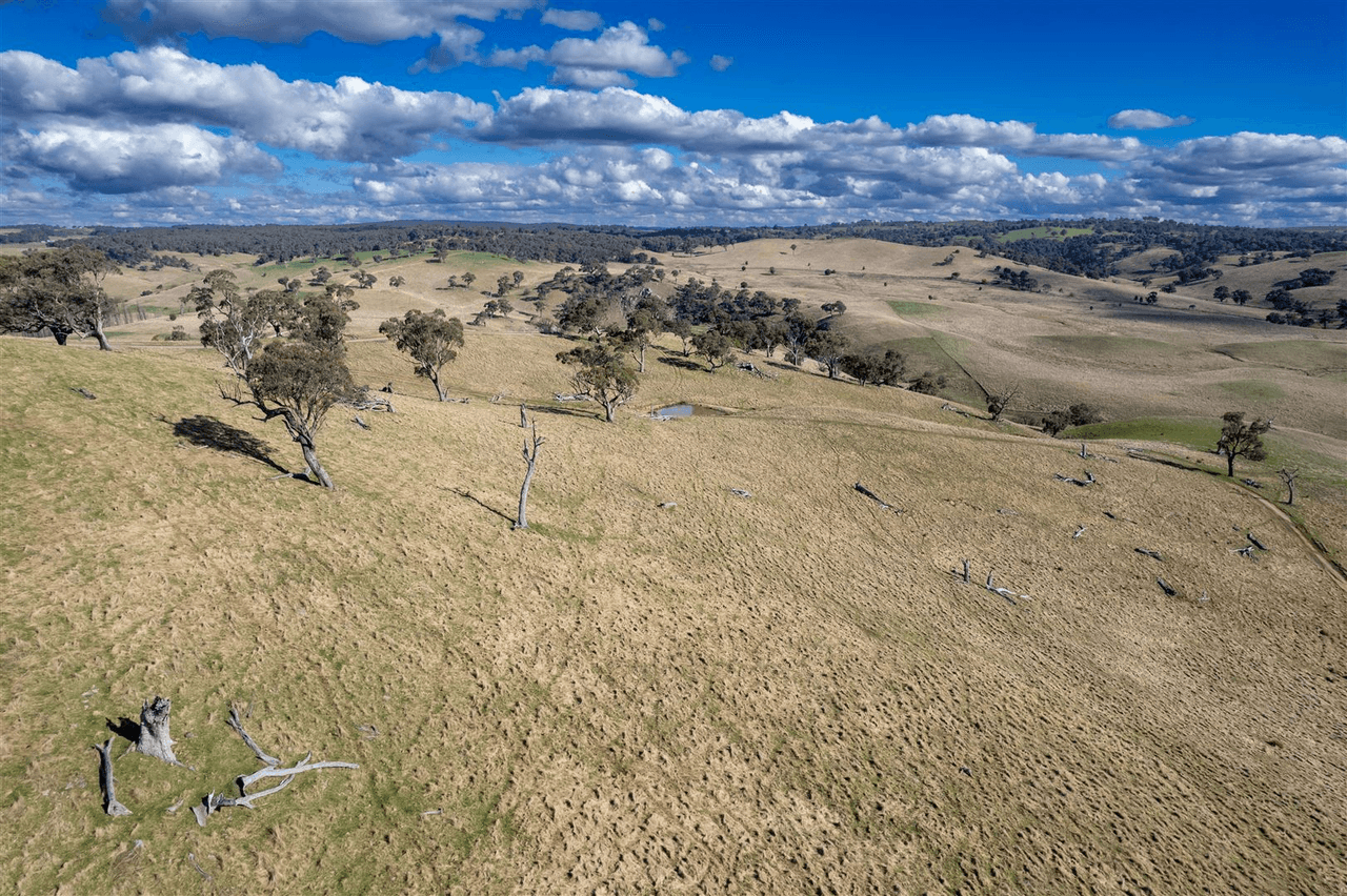 121 Blue Hills Road, Taralga, NSW 2580