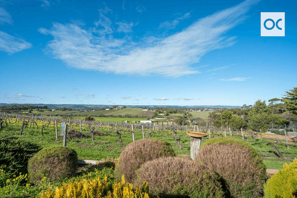 44 Olivers Road, McLaren Vale, SA 5171