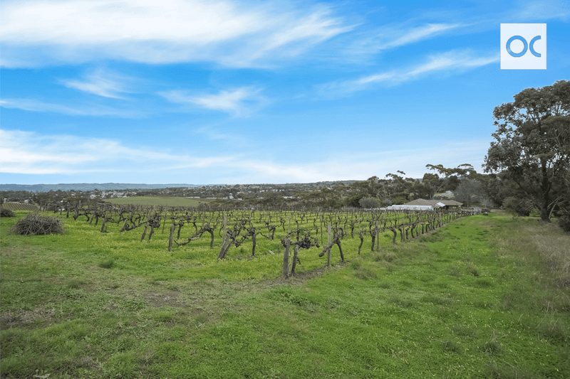 44 Olivers Road, McLaren Vale, SA 5171