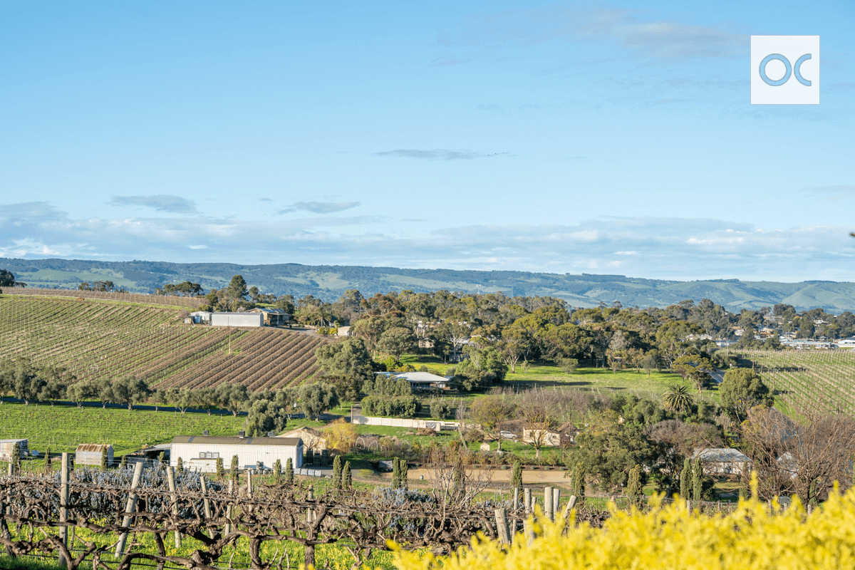 44 Olivers Road, McLaren Vale, SA 5171