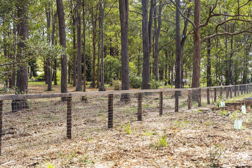 Lot 5 Castle Road, CABARLAH, QLD 4352