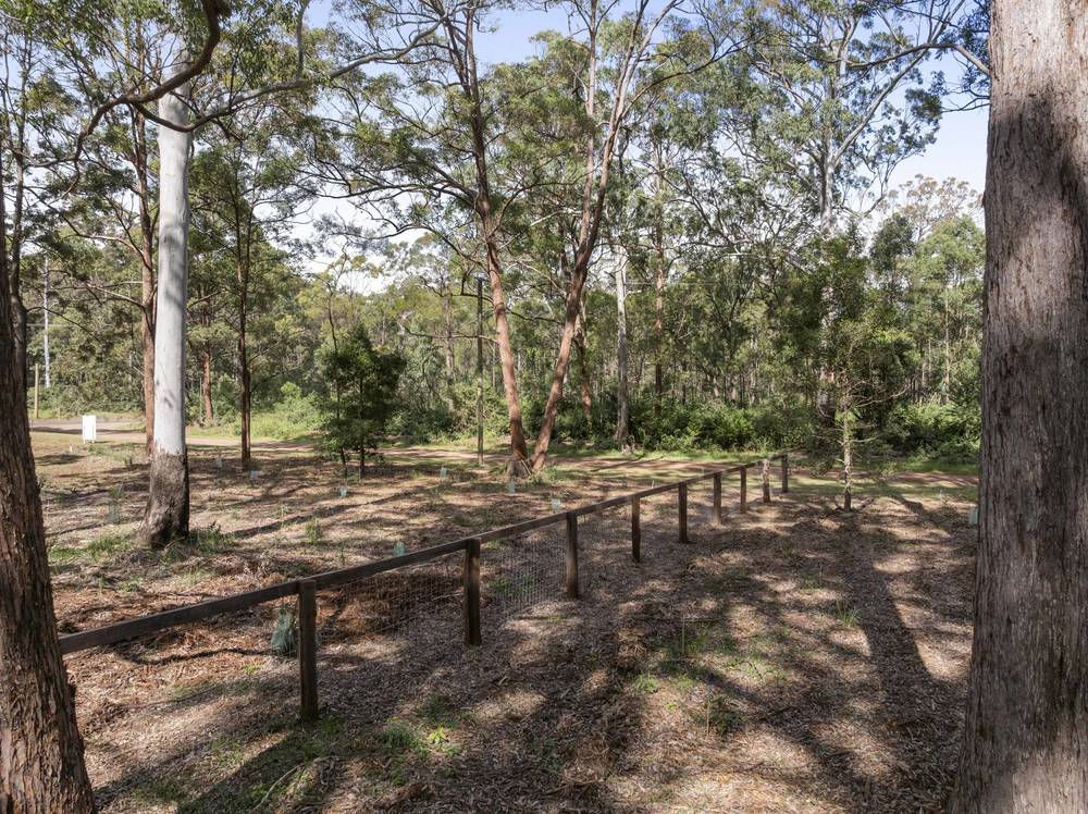 Lot 5 Castle Road, CABARLAH, QLD 4352