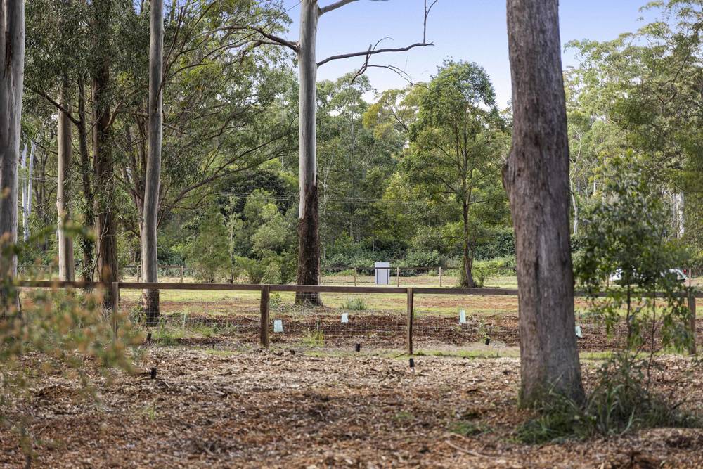 Lot 5 Castle Road, CABARLAH, QLD 4352