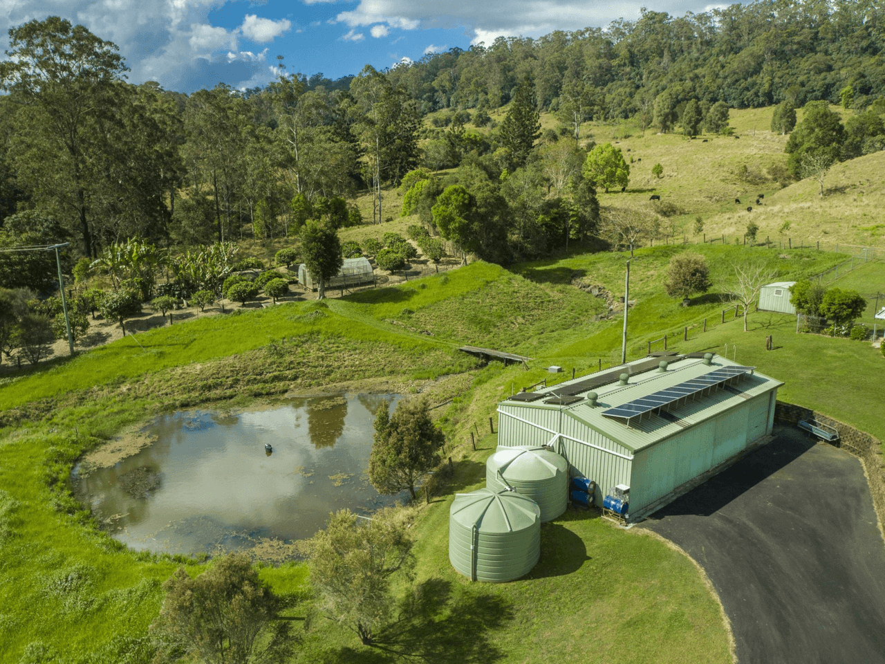 1722 Nimbin Road, COFFEE CAMP, NSW 2480