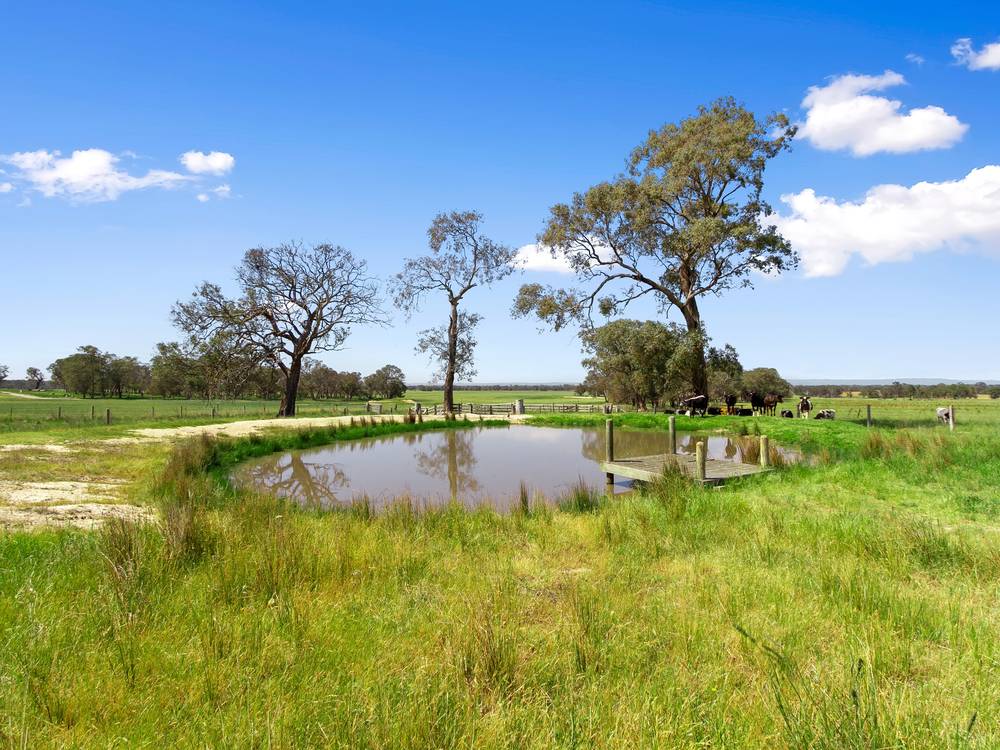 455 Heyfield-Seaton Road, HEYFIELD, VIC 3858