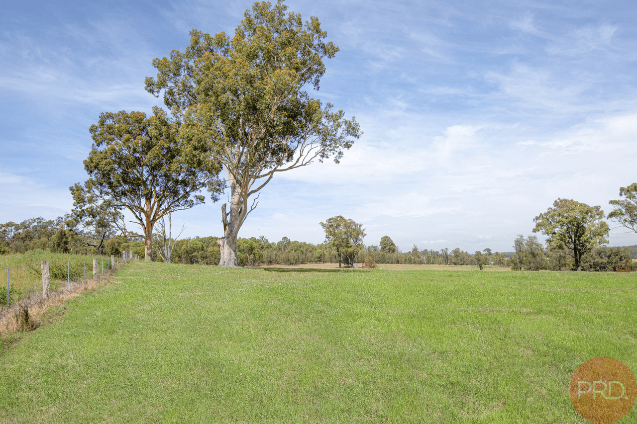 732 Standen Drive, LOWER BELFORD, NSW 2335