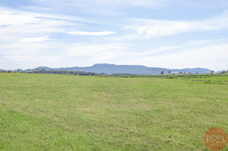 732 Standen Drive, LOWER BELFORD, NSW 2335