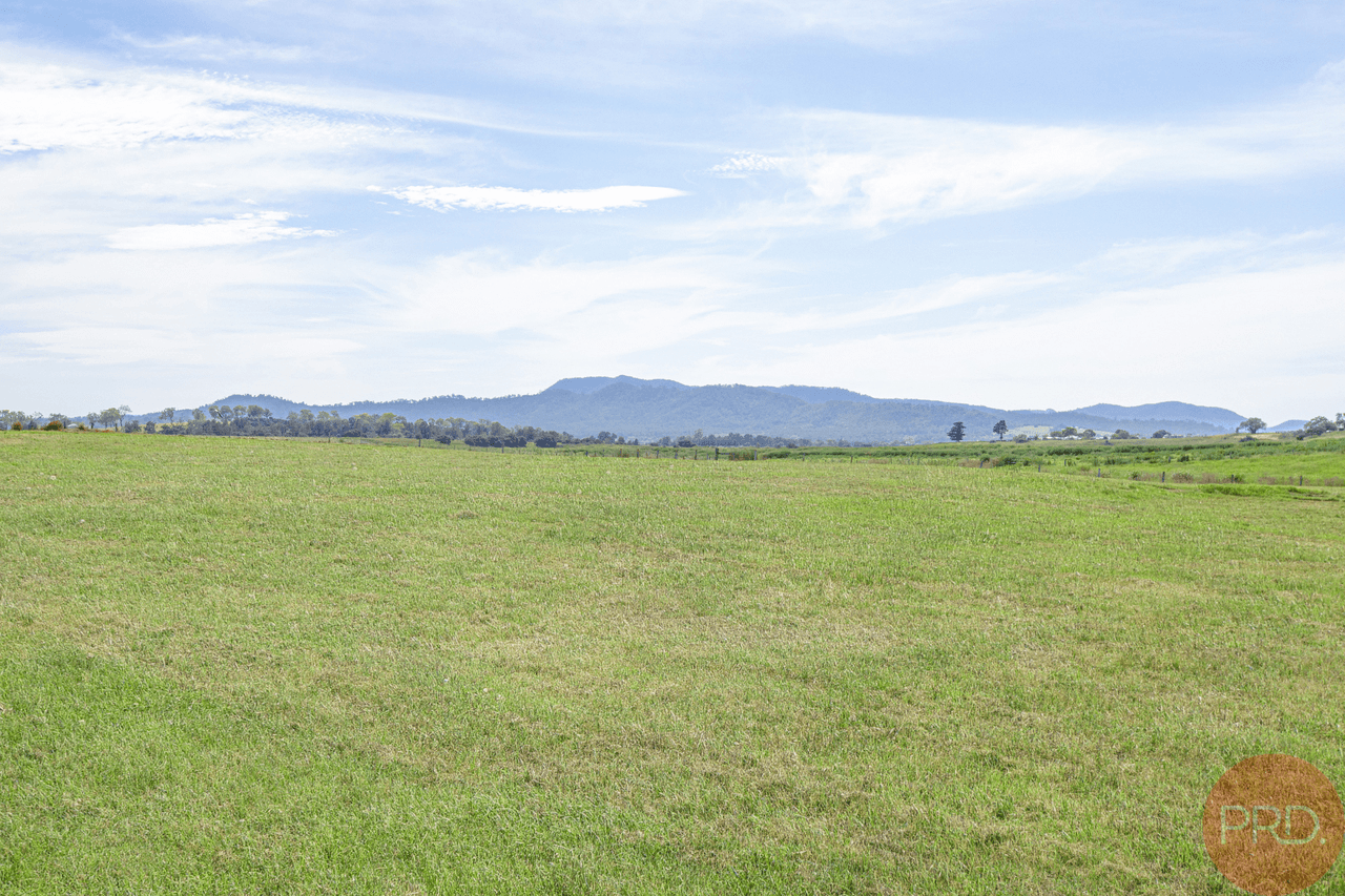 732 Standen Drive, LOWER BELFORD, NSW 2335