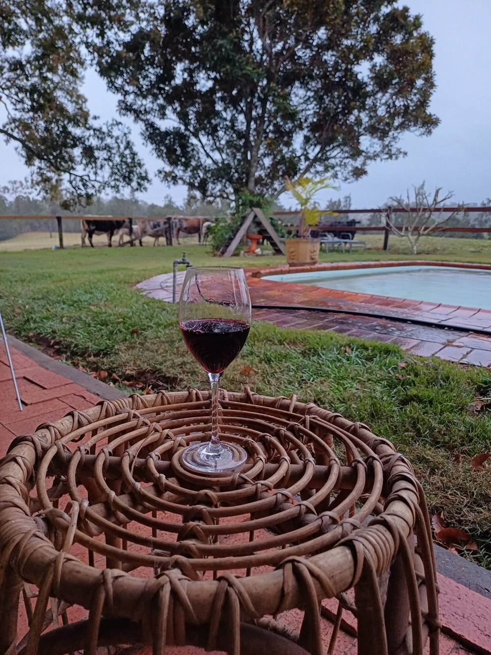 153 Mcgraths Lane, The Whiteman, NSW 2460