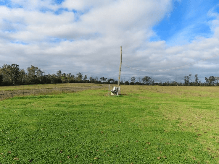 178 Halloran Drive, COTTONVALE, QLD 4375