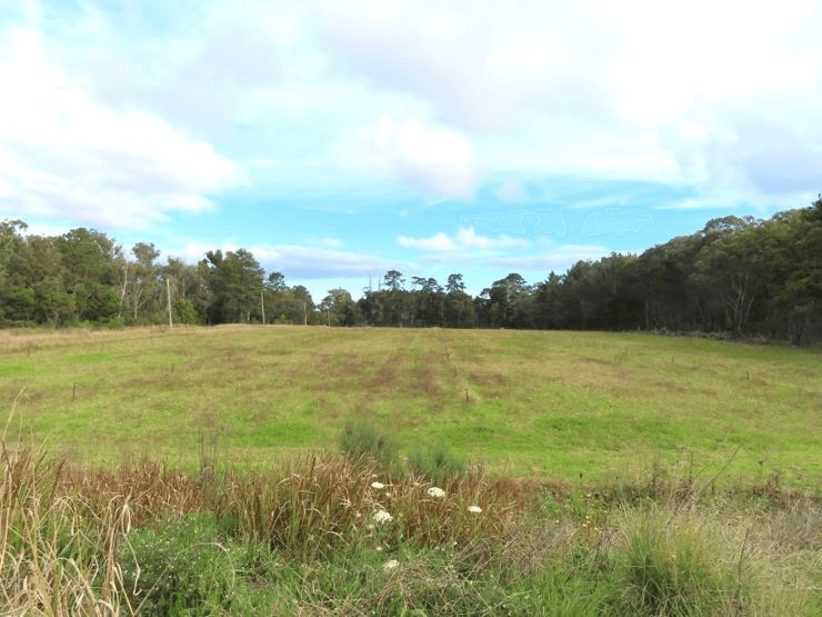 178 Halloran Drive, COTTONVALE, QLD 4375