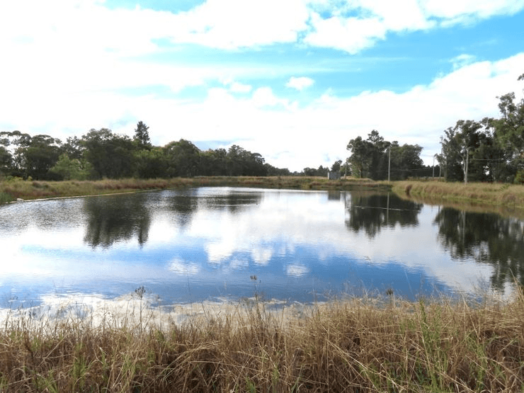 178 Halloran Drive, COTTONVALE, QLD 4375