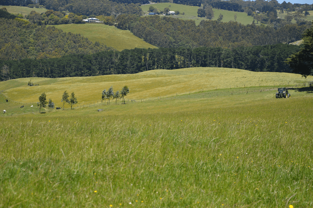 67  Sanders Road, KORUMBURRA, VIC 3950