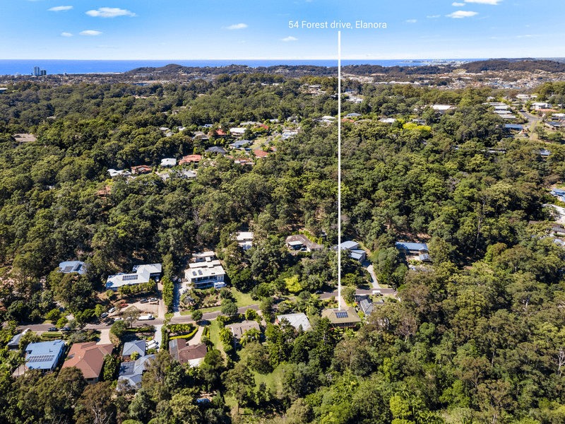 54 Forest Drive, ELANORA, QLD 4221