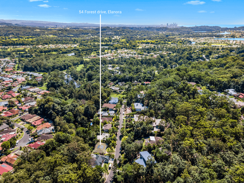 54 Forest Drive, ELANORA, QLD 4221