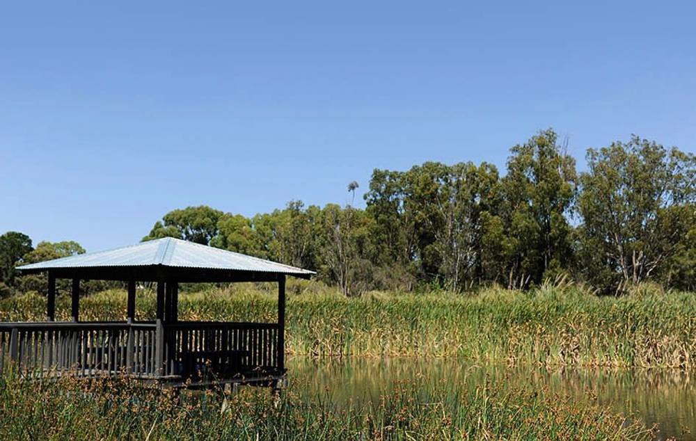 4 Exmouth Vista, Gwelup, WA 6018
