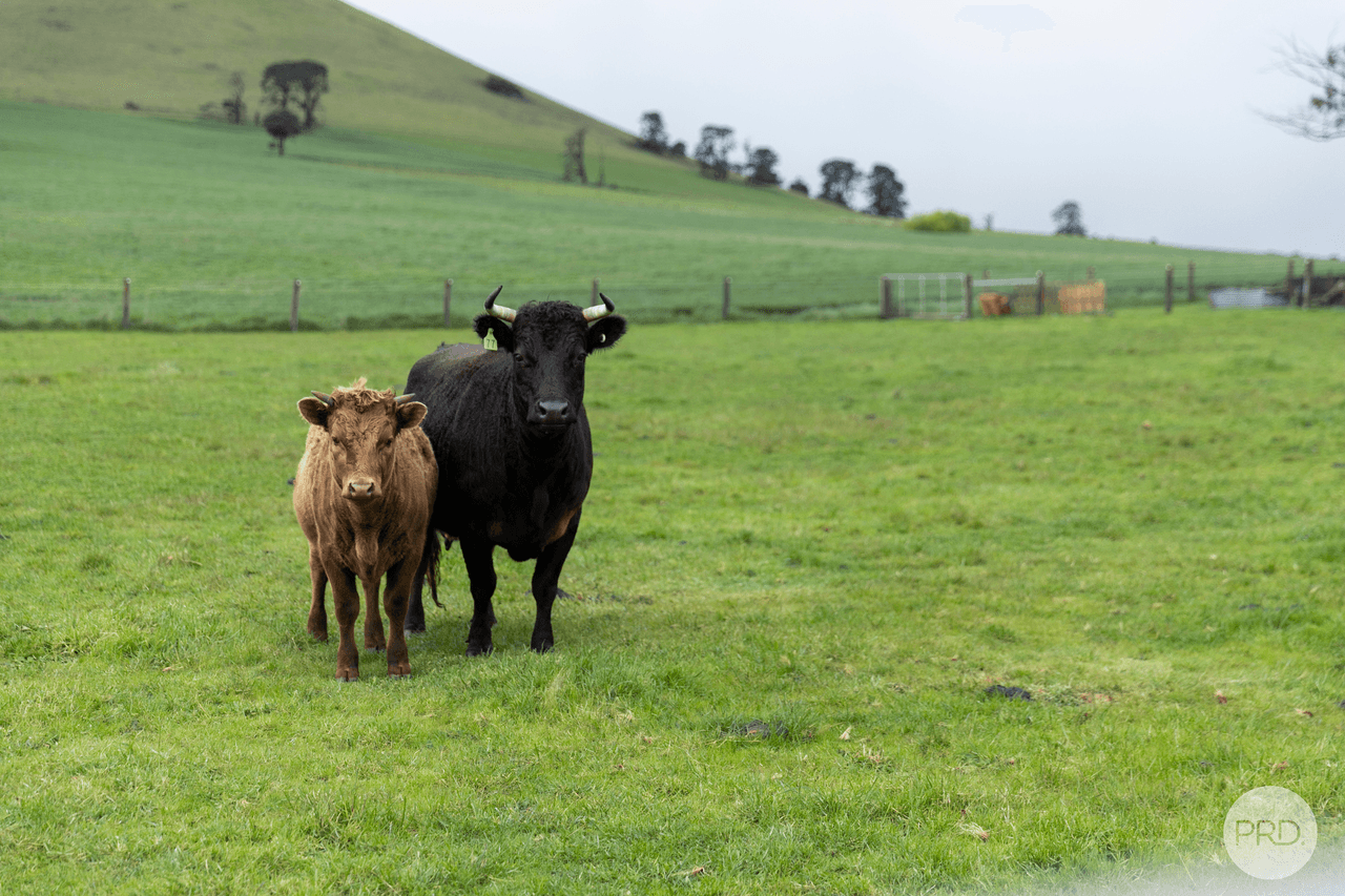 174 Cemetery Road, SMEATON, VIC 3364