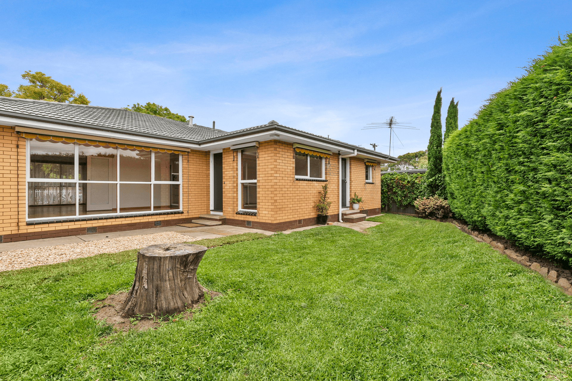 16 Everett Close, Herne Hill, VIC 3218