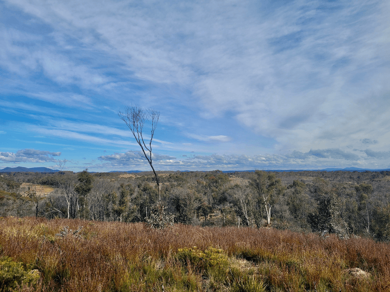 307 Quilty Road, Wog Wog, NERRIGA, NSW 2622