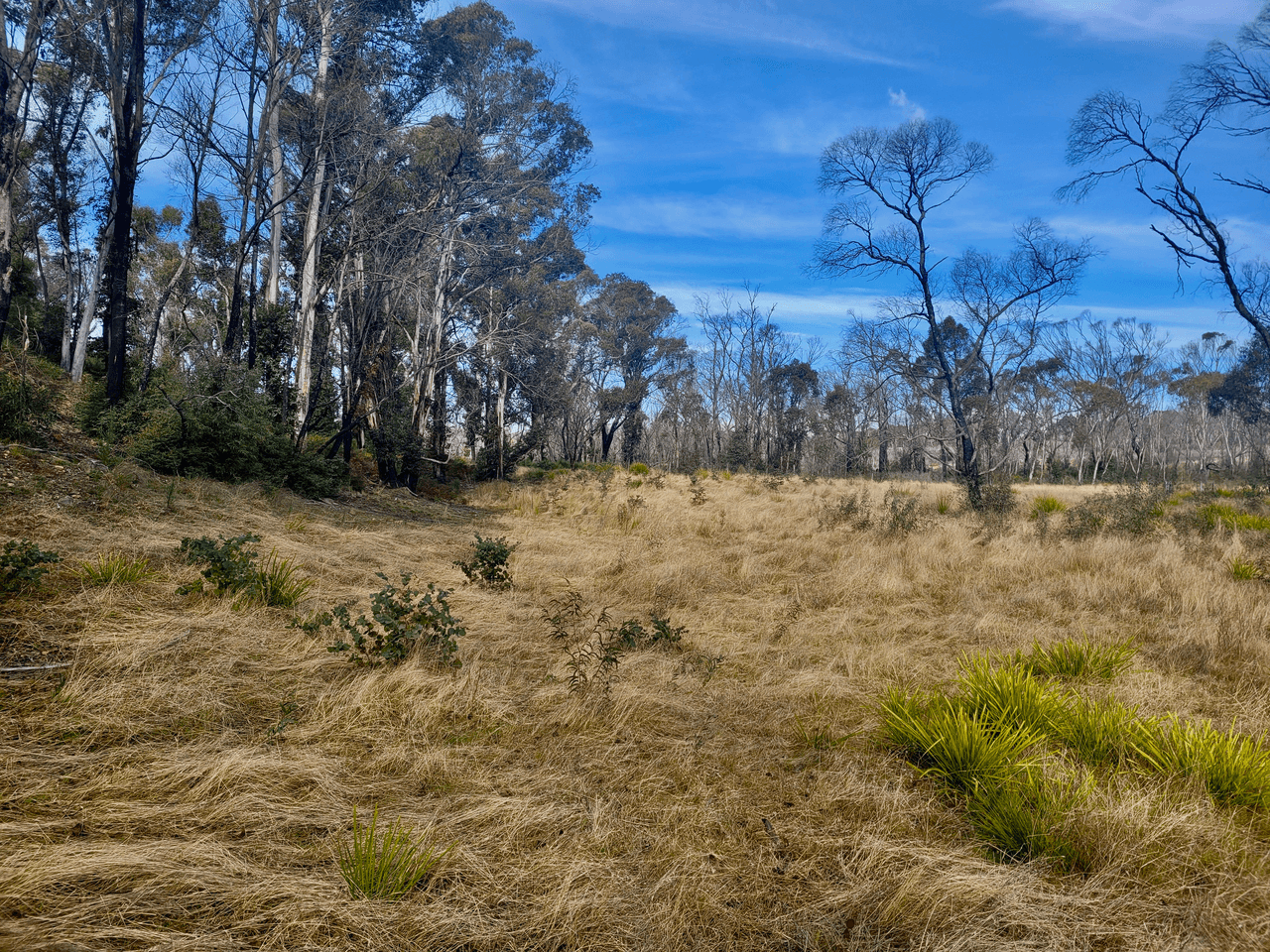 307 Quilty Road, Wog Wog, NERRIGA, NSW 2622