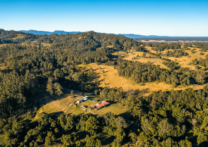 770 Mooral Creek Road, STRATHCEDAR, NSW 2429