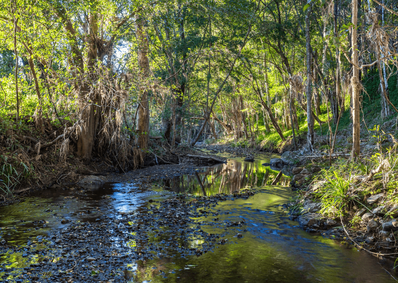 770 Mooral Creek Road, STRATHCEDAR, NSW 2429