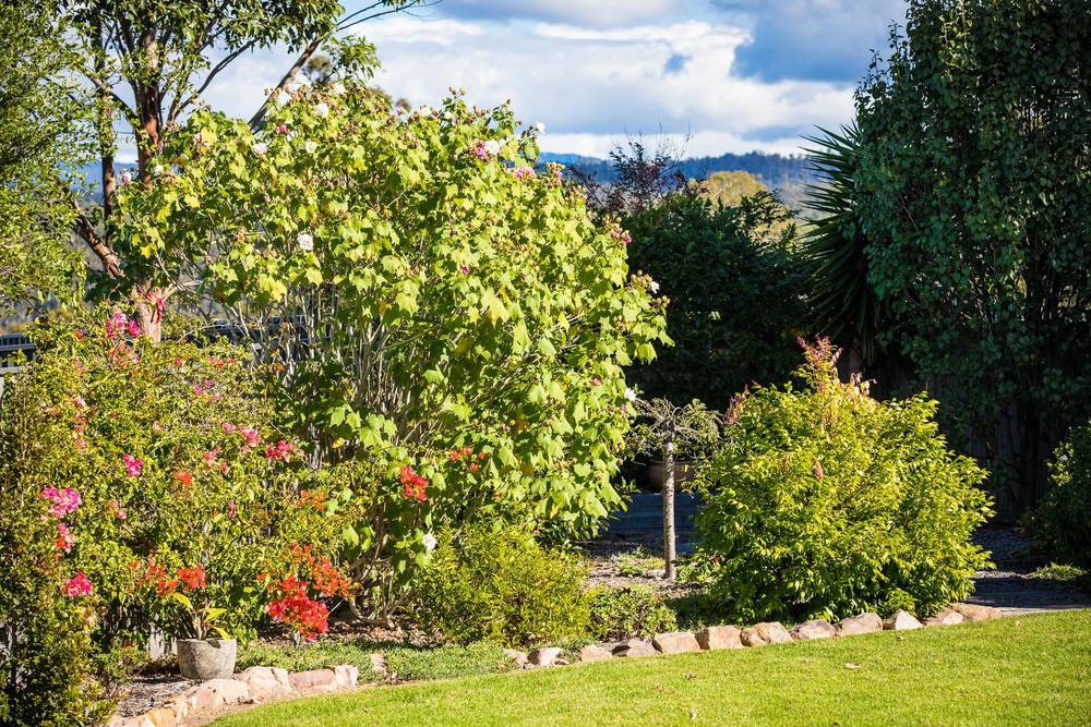 77 Mulloway Circuit, Merimbula, NSW 2548