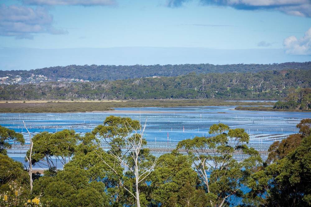 77 Mulloway Circuit, Merimbula, NSW 2548