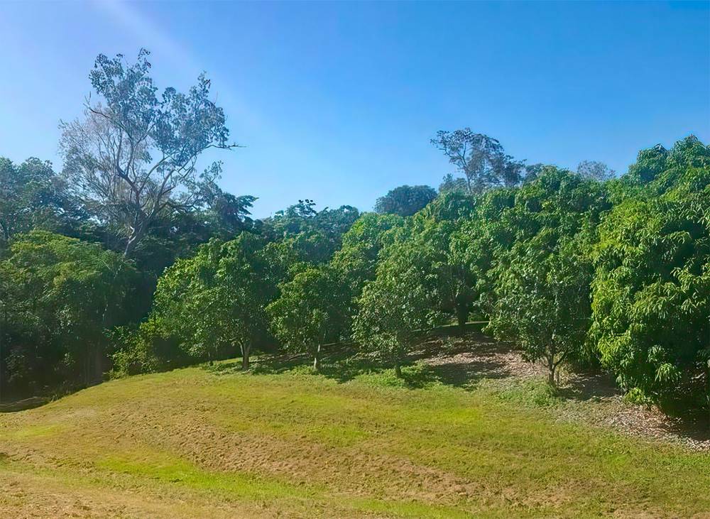 3331 Mirani Mt Ossa Road, Mount Ossa, QLD 4741