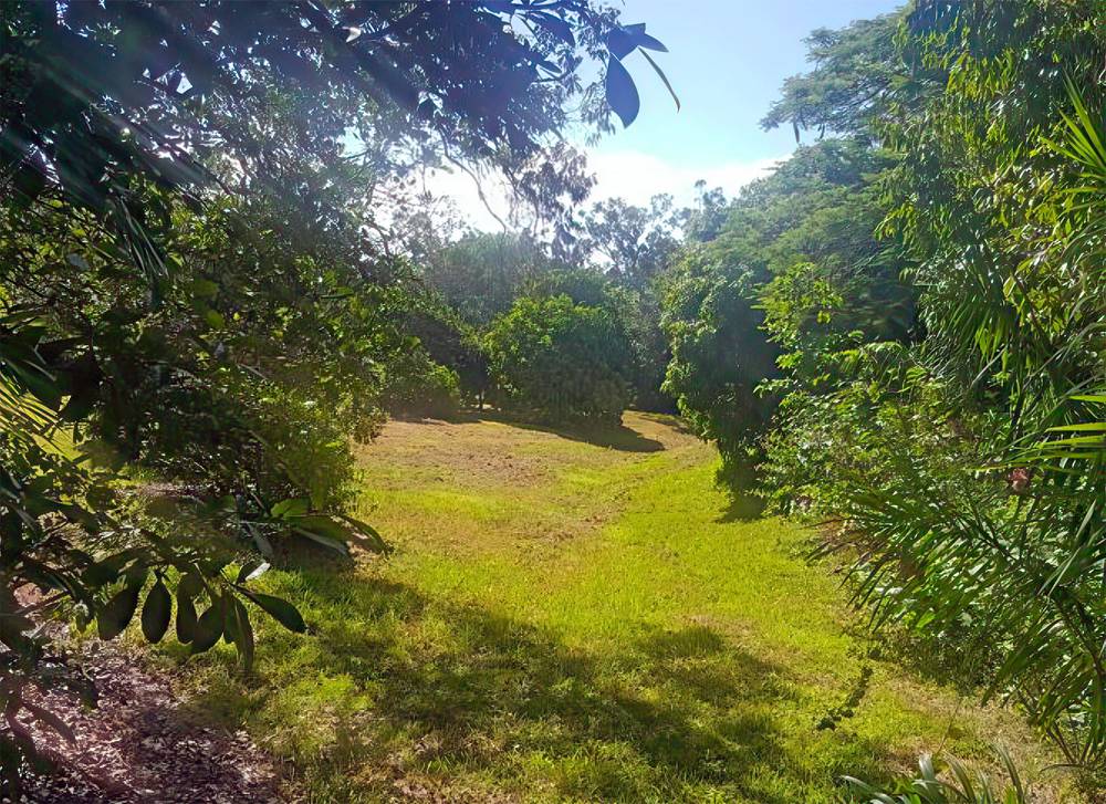 3331 Mirani Mt Ossa Road, Mount Ossa, QLD 4741