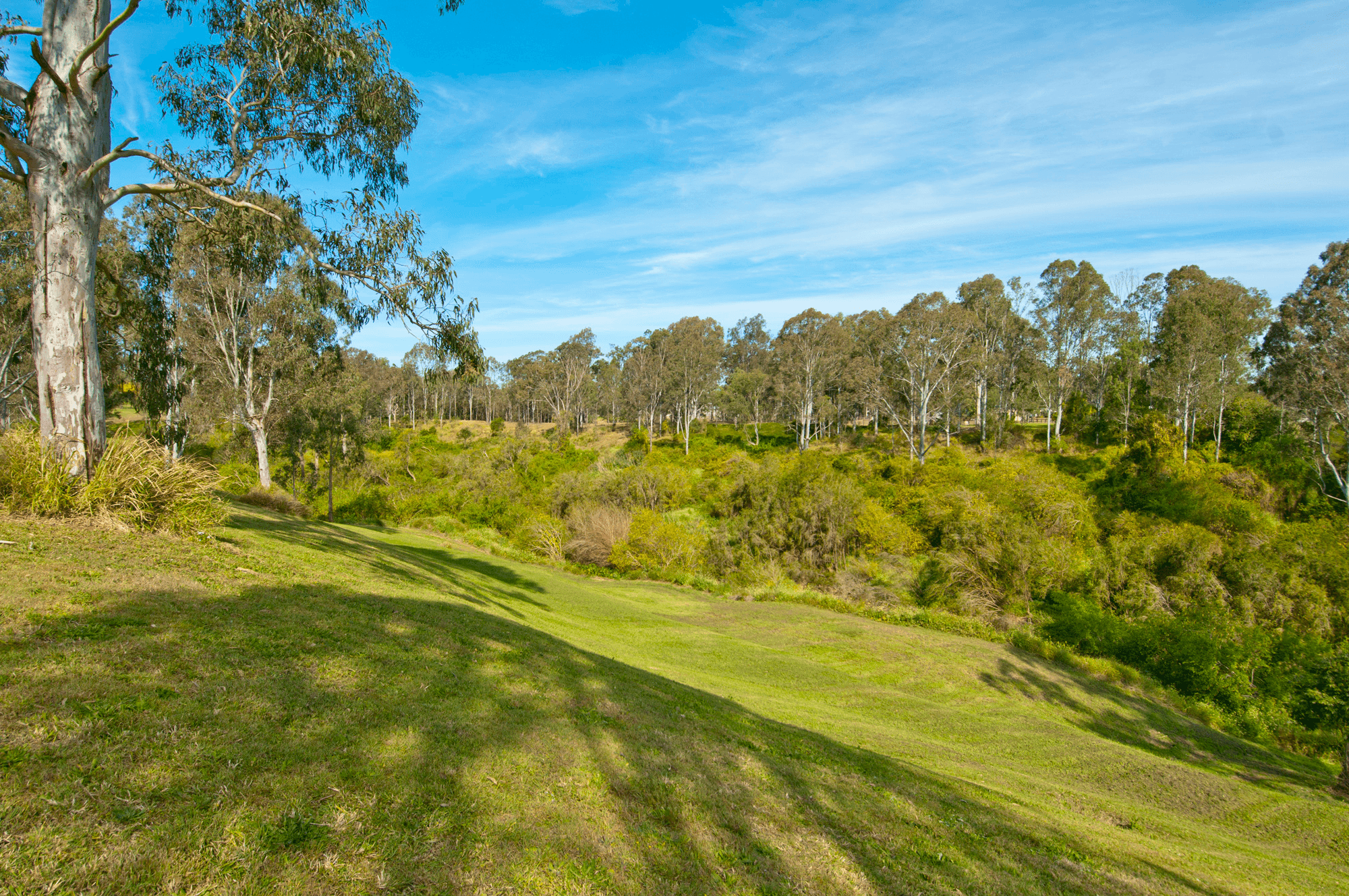 140 Smailes Road, NORTH MACLEAN, QLD 4280