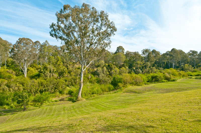 140 Smailes Road, NORTH MACLEAN, QLD 4280