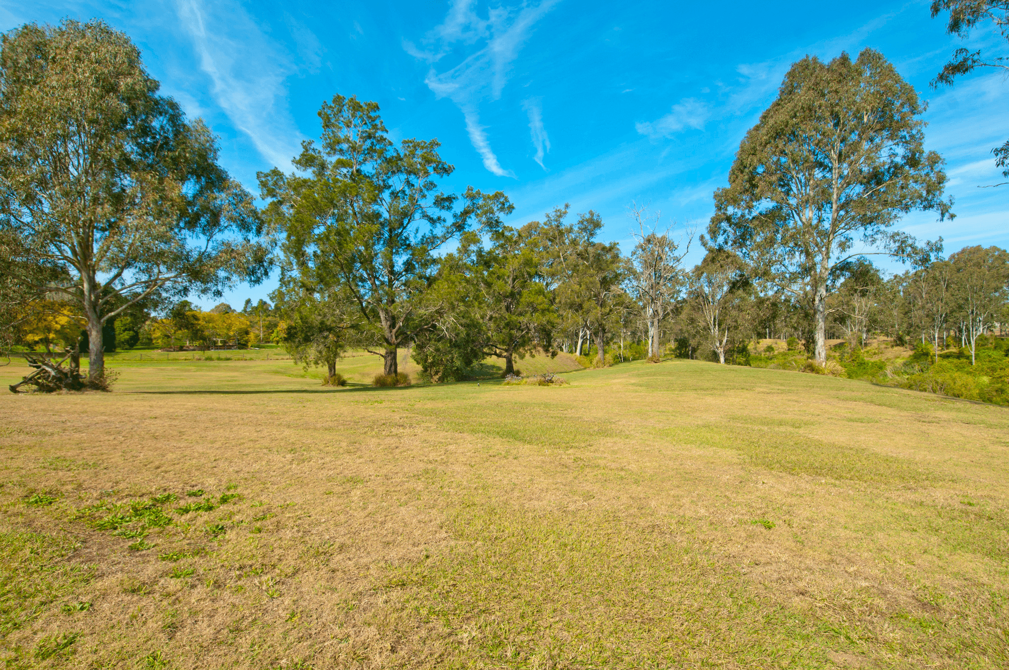 140 Smailes Road, NORTH MACLEAN, QLD 4280