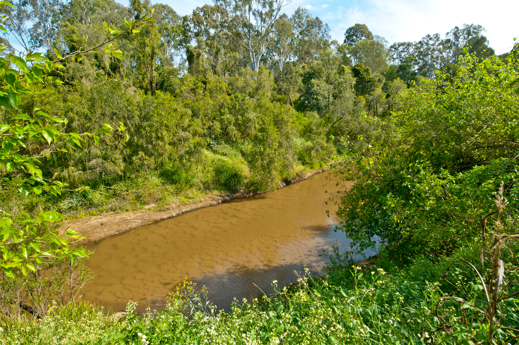 140 Smailes Road, NORTH MACLEAN, QLD 4280