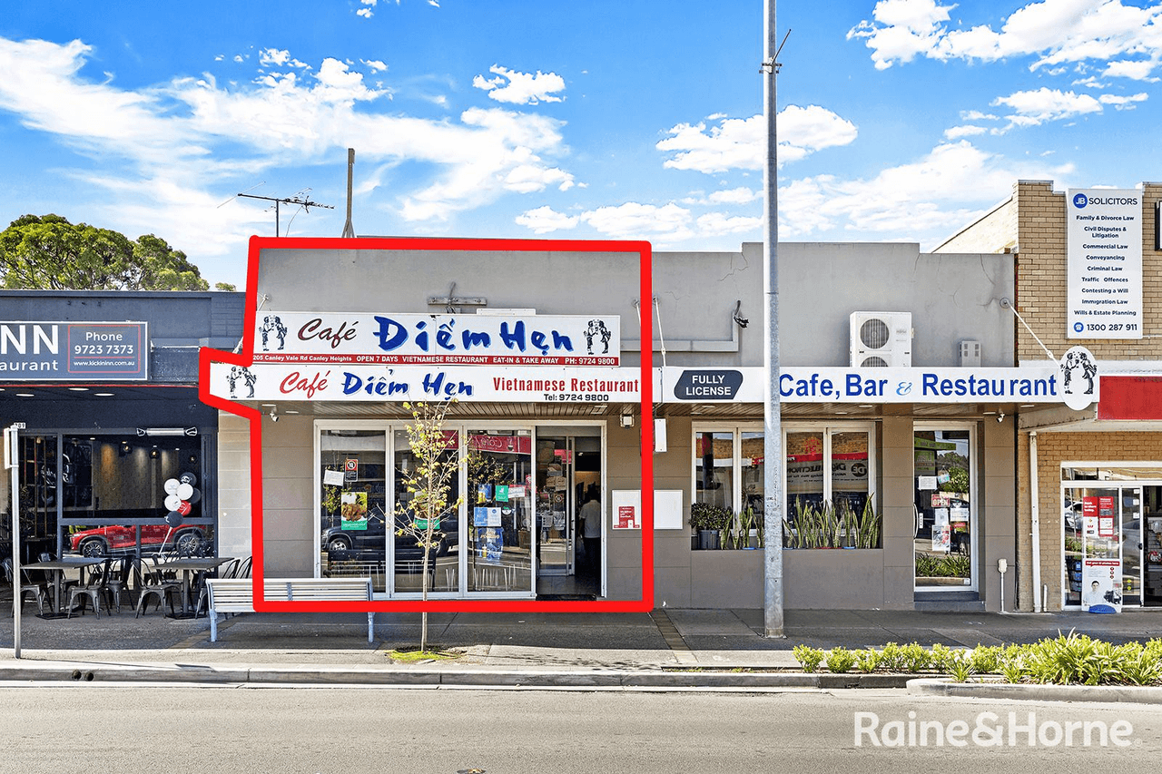 207 Canley Vale Road, CANLEY HEIGHTS, NSW 2166