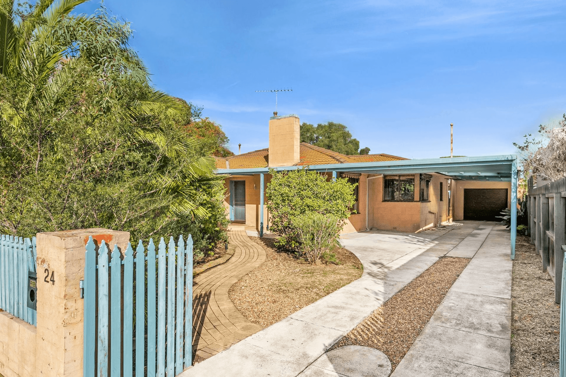 24 Pine Avenue, North Shore, VIC 3214