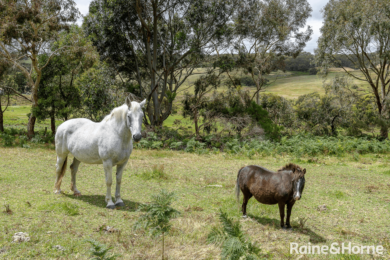 267 Phillips Road, HOPE FOREST, SA 5172