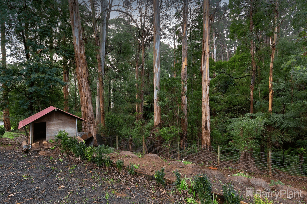 29 Lisheen Road, COCKATOO, VIC 3781