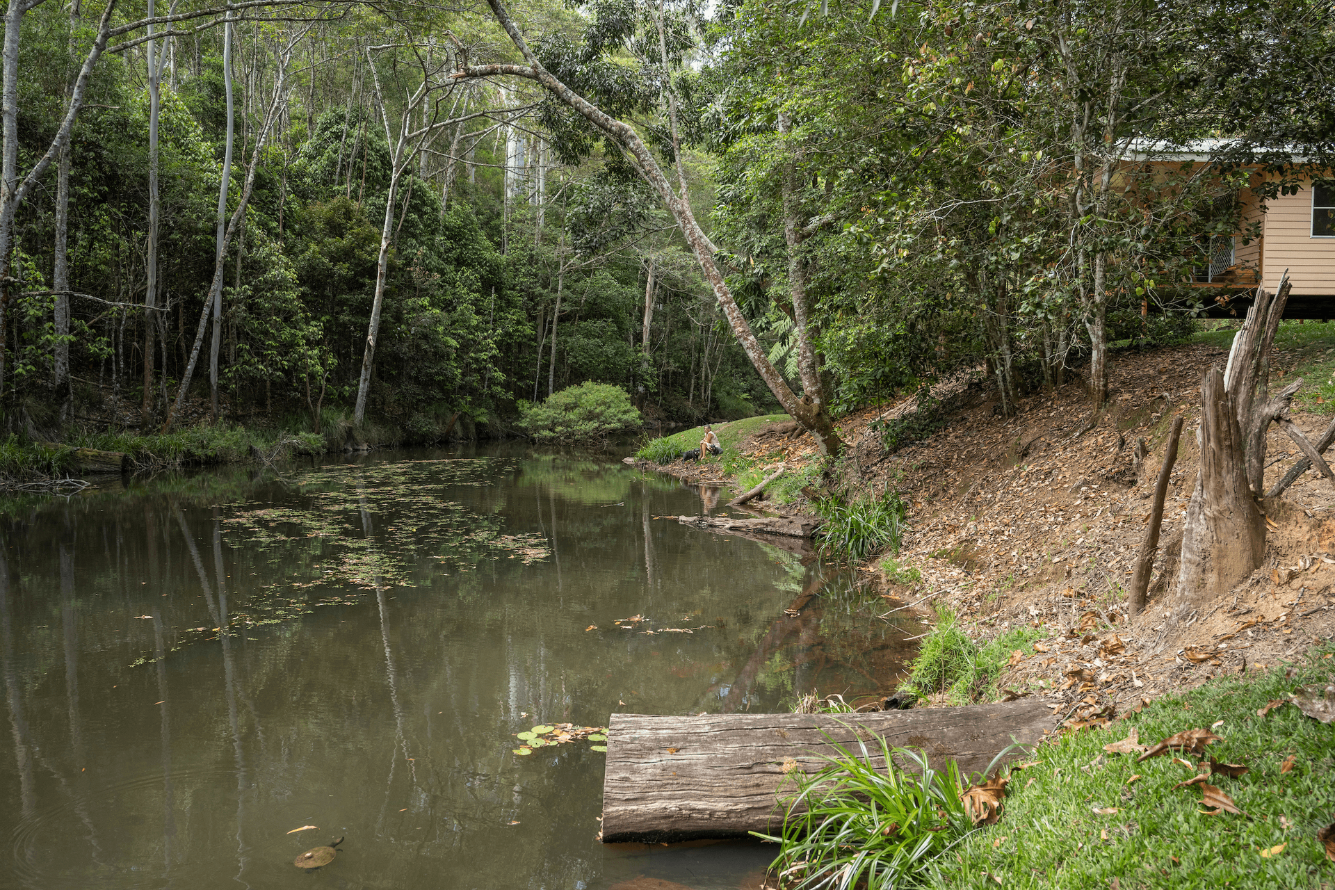 12028 Kennedy Highway, Ravenshoe, QLD 4888