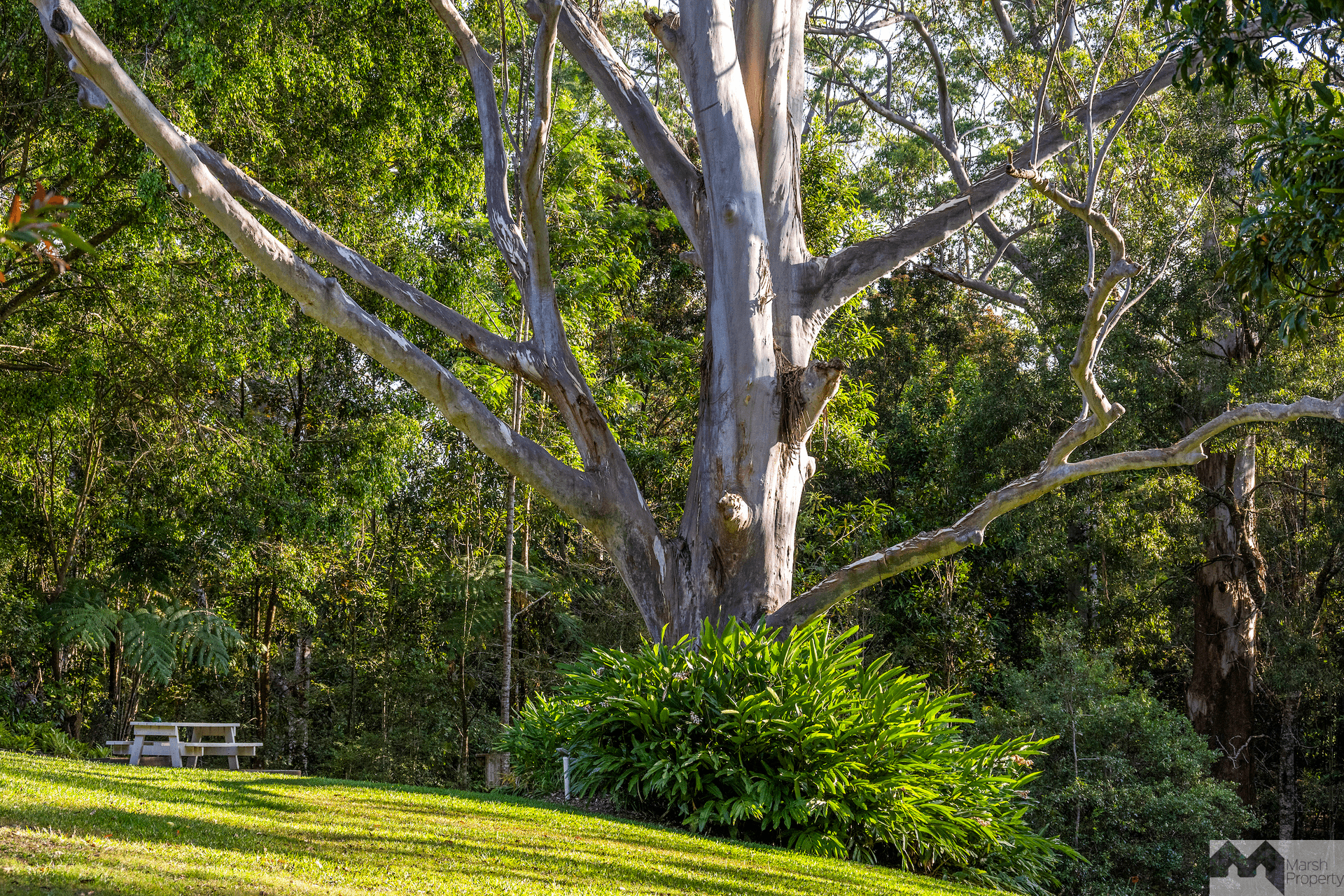 12028 Kennedy Highway, Ravenshoe, QLD 4888