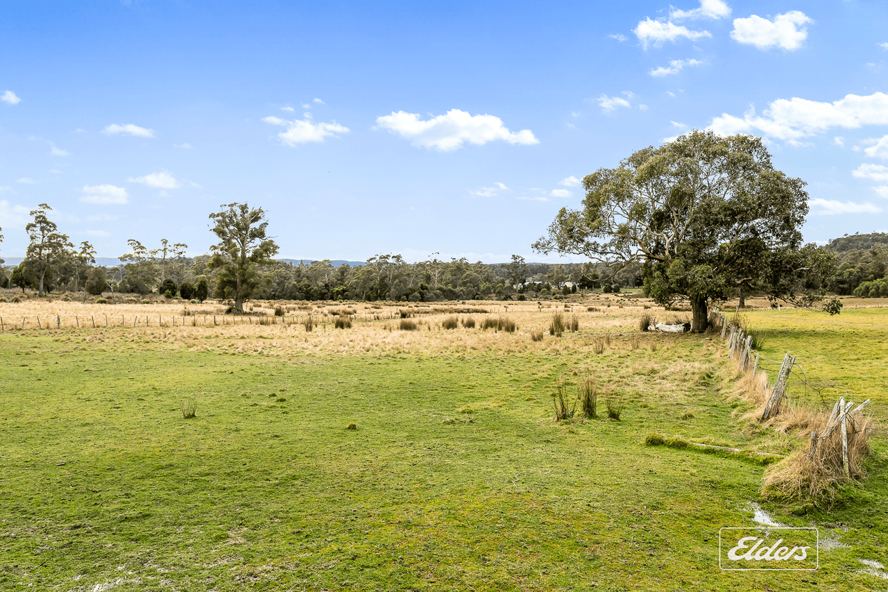 28 Old Bangor Tram Road, Mount Direction, TAS 7252