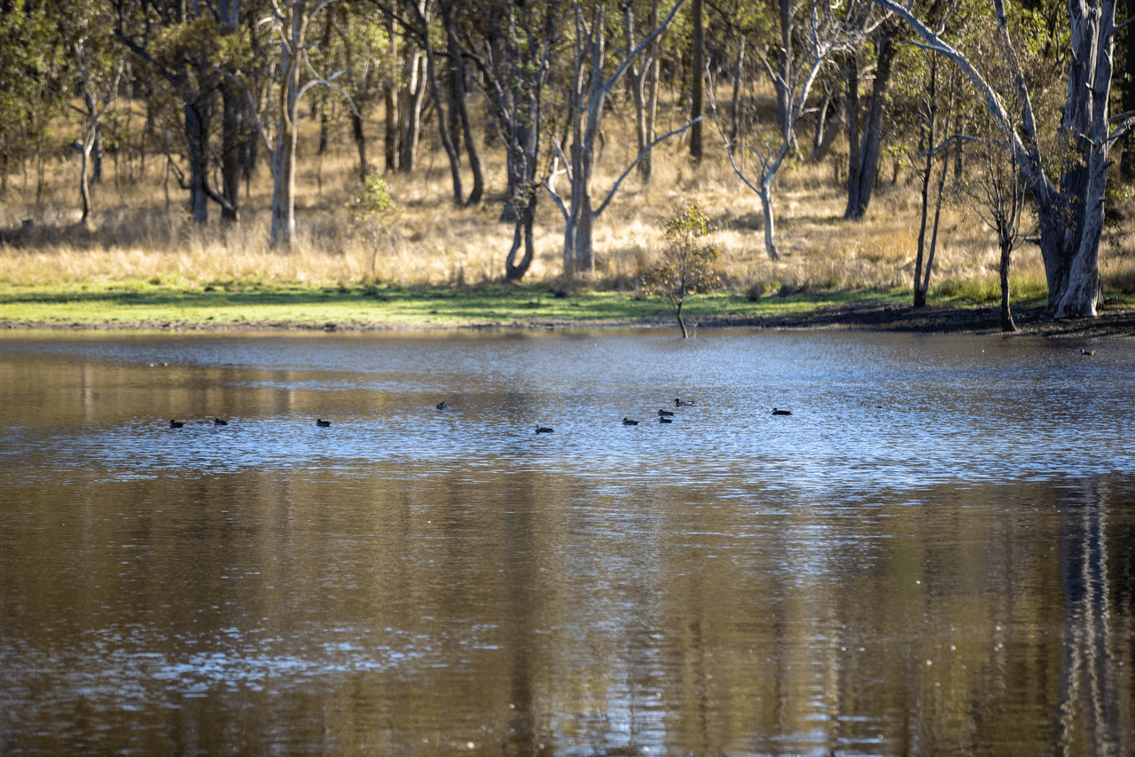 'Baroona' 614 Long Swamp Road, ARMIDALE, NSW 2350