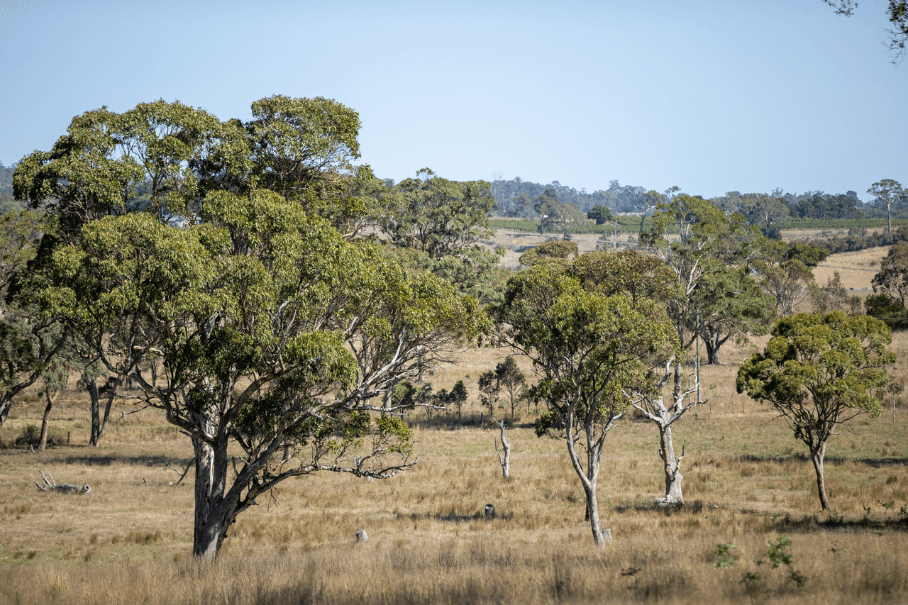 'Baroona' 614 Long Swamp Road, ARMIDALE, NSW 2350