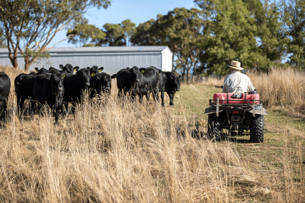 'Baroona' 614 Long Swamp Road, ARMIDALE, NSW 2350