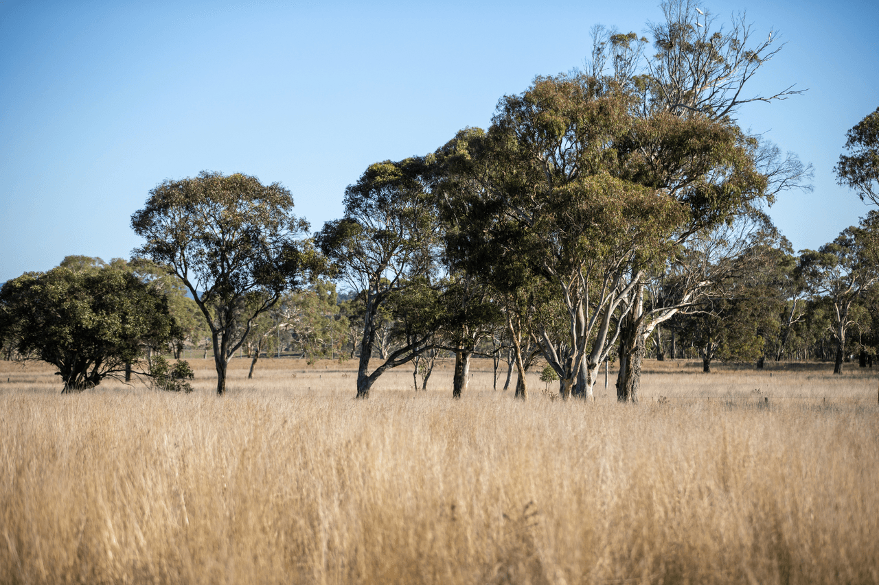 'Baroona' 614 Long Swamp Road, ARMIDALE, NSW 2350