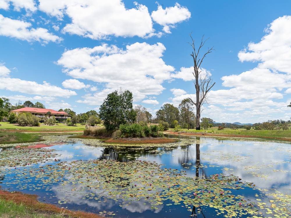 1495 Kenilworth Skyring Creek Road, TUCHEKOI, QLD 4570