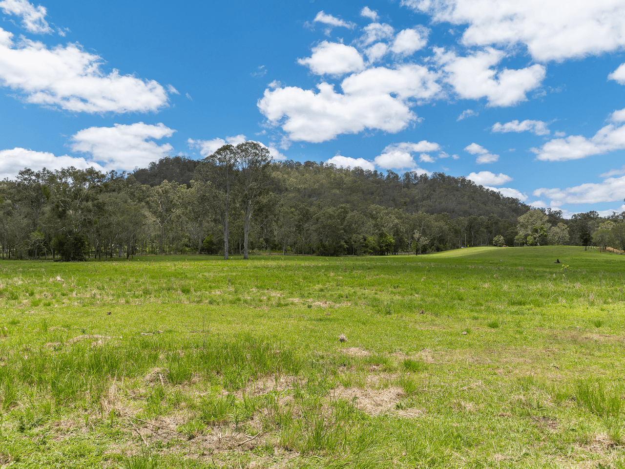 1495 Kenilworth Skyring Creek Road, TUCHEKOI, QLD 4570