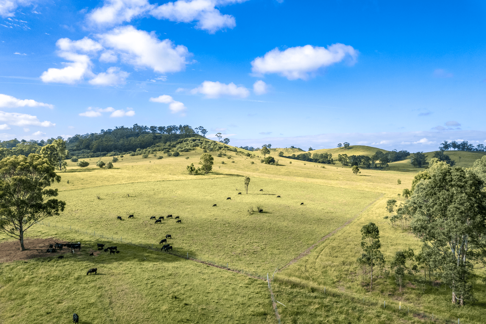 420 Cut Hill Road, Cobbitty, NSW 2570