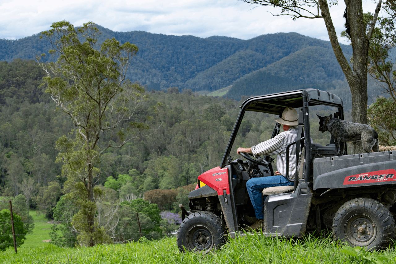 209 Booloumba Creek Road, CAMBROON, QLD 4552